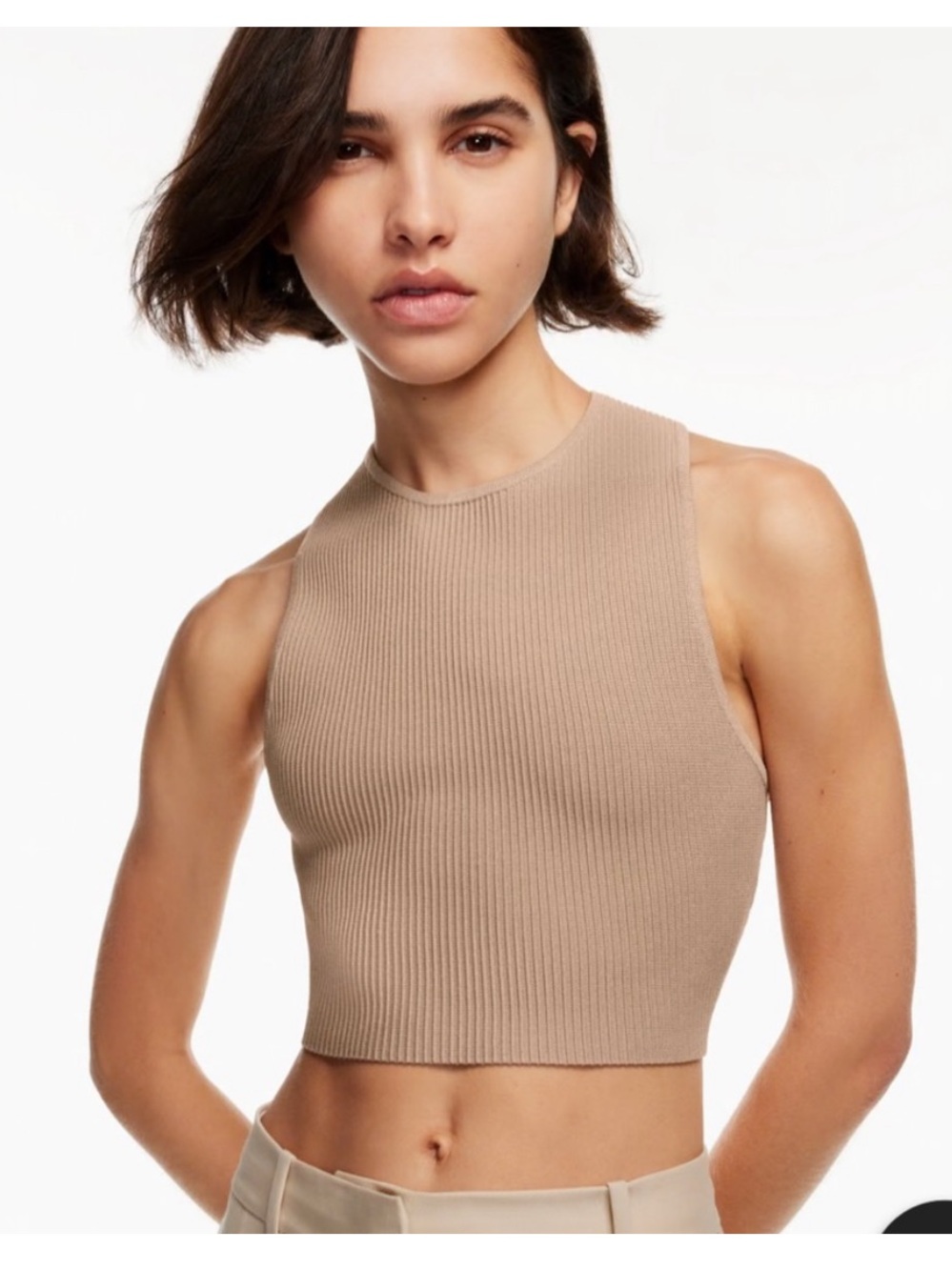 Babaton Ribbed High-Neck Crop Top in Beige